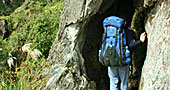 Inca Trail trek