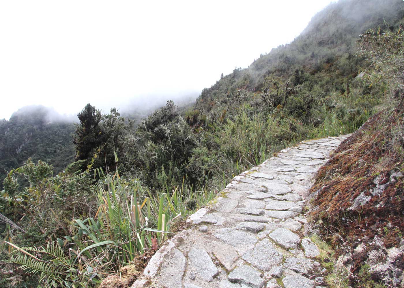 Stone trekking path along a misty ridge in the Peruvian highlands
