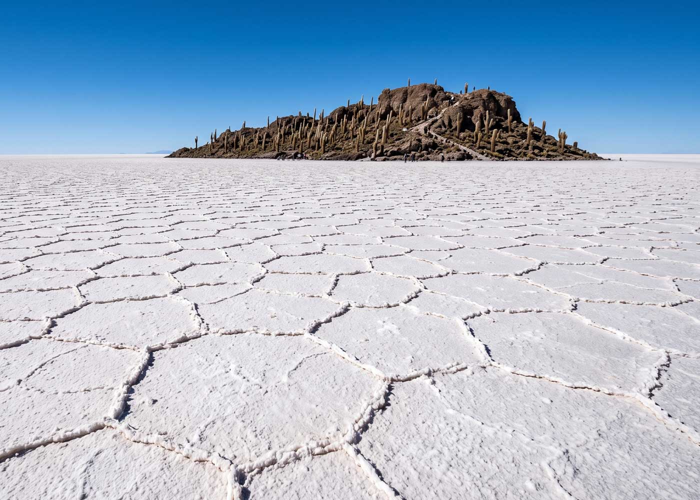 Cactus-covered Incahuasi Island rising from the white honeycomb-patterned Uyuni salt flat