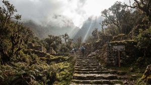 Stone steps of the Inca Trail leading to Dead Woman's Pass in Peru