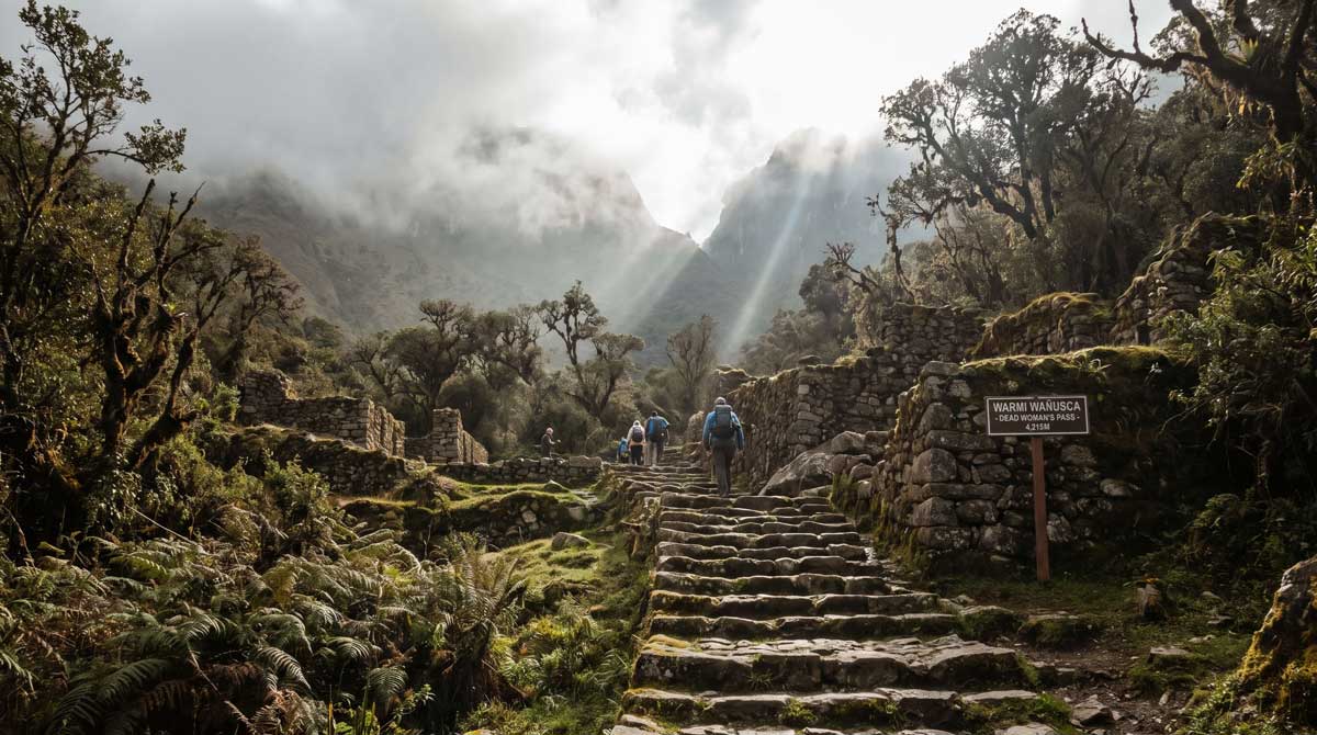 Stone steps of the Inca Trail leading to Dead Woman's Pass in Peru