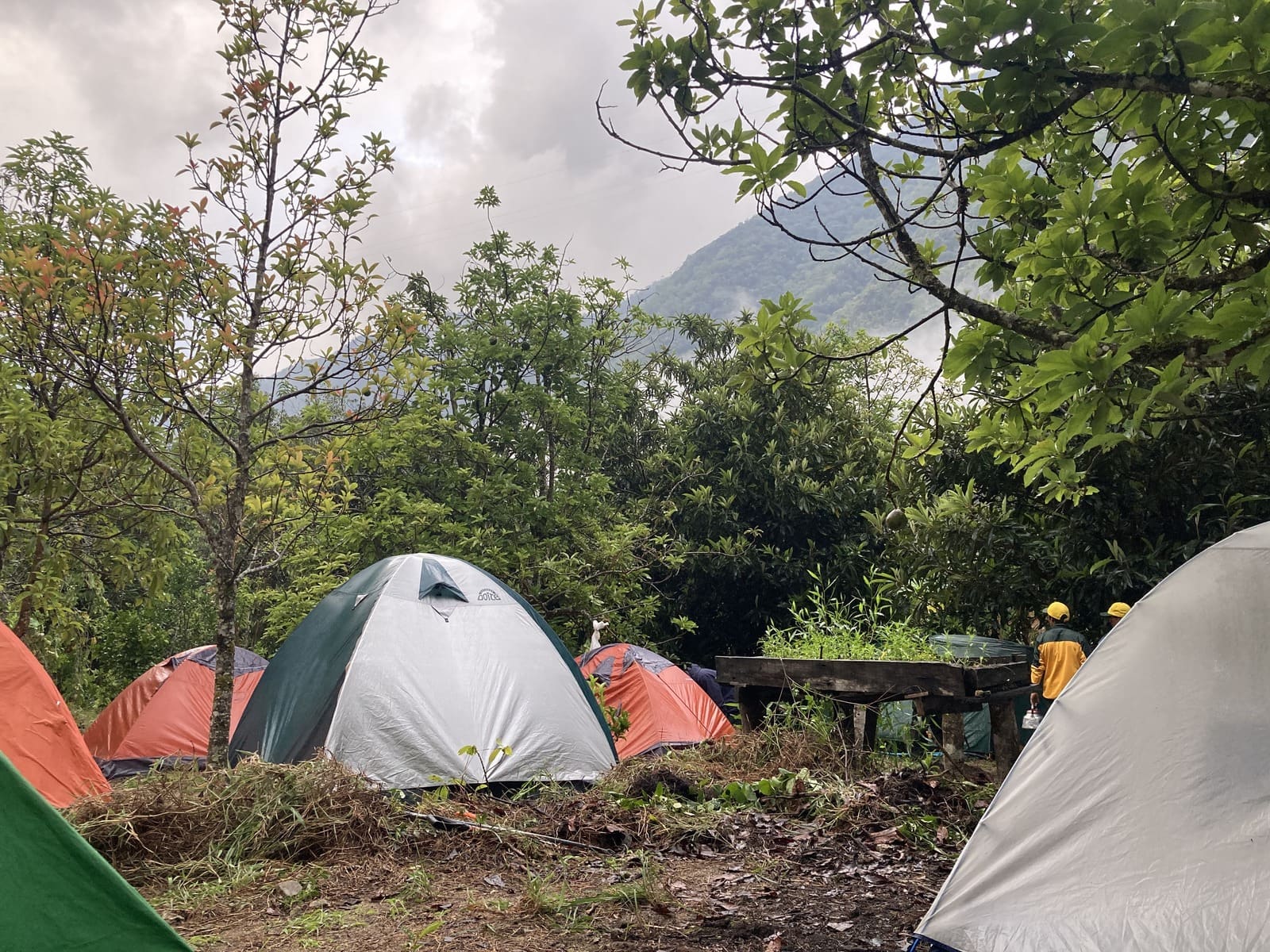 Tents at an Inca Trail campsite at dawn, with porters in yellow packing up camp
