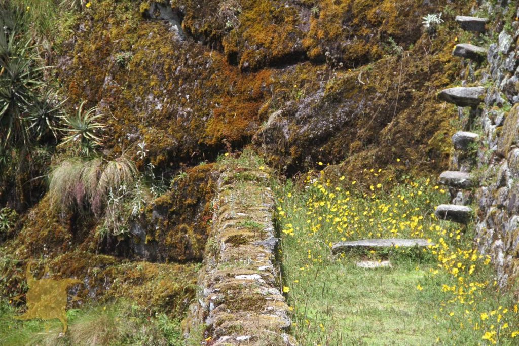 Cantilevered stone steps projecting from a mossy Inca wall with bromeliads