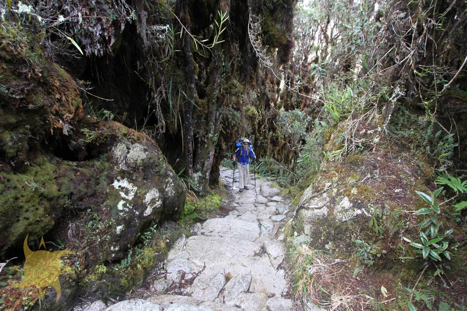 Inca Trail Itinerary Day by Day: 42km, Hour by Hour