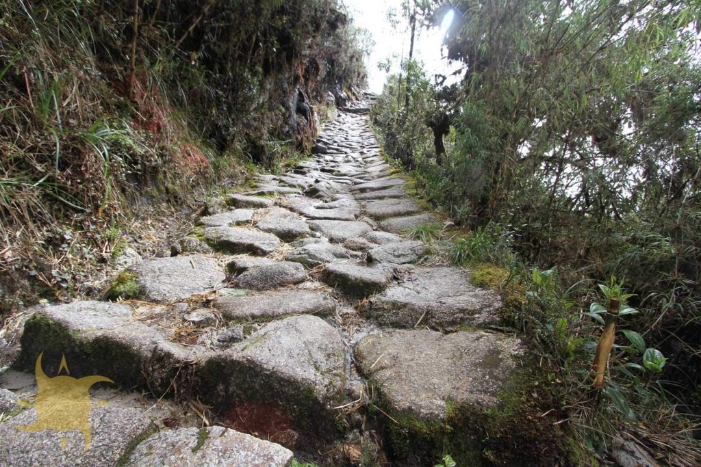Wet, uneven granite Inca steps climbing through cloud forest