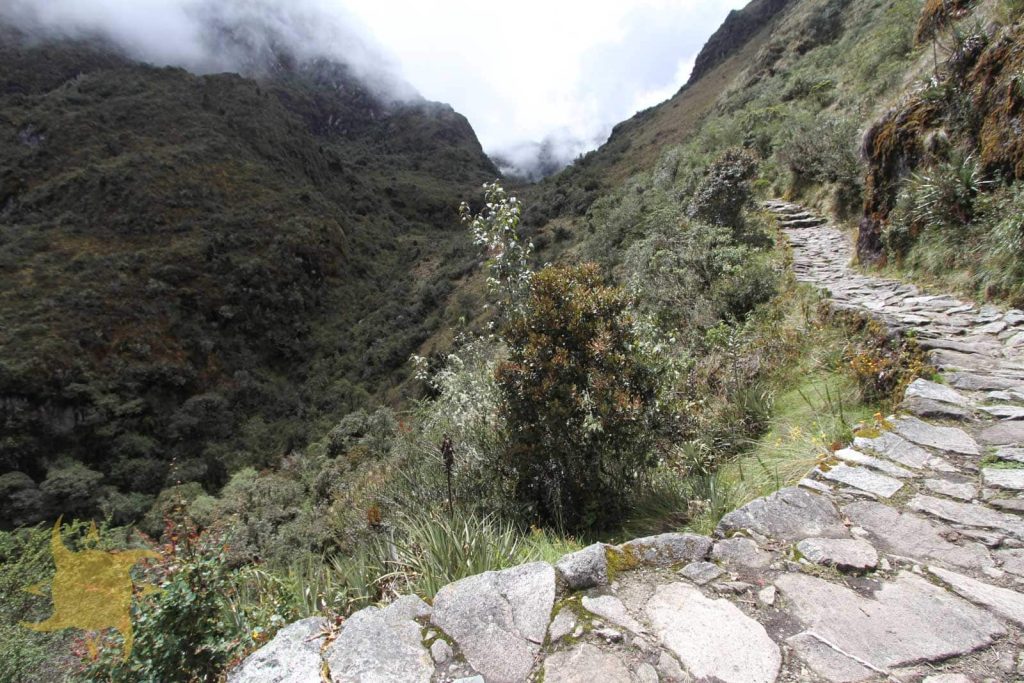 Original Inca paving traversing a steep cloud-forest valley wall