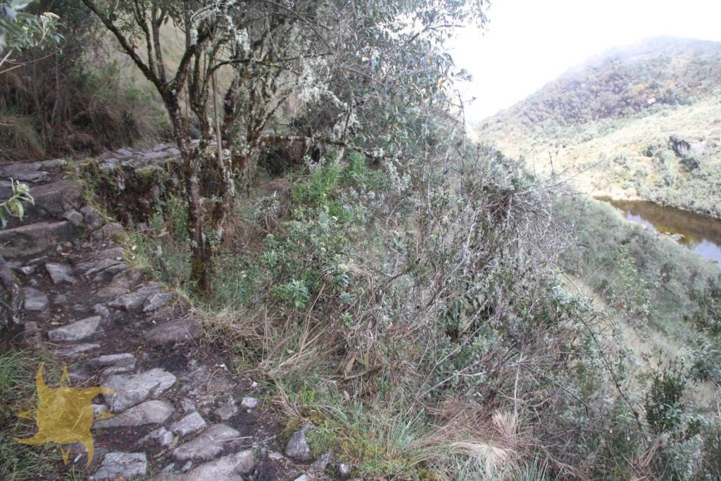 Inca stone steps descending through lichen-draped cloud forest with a small lake below