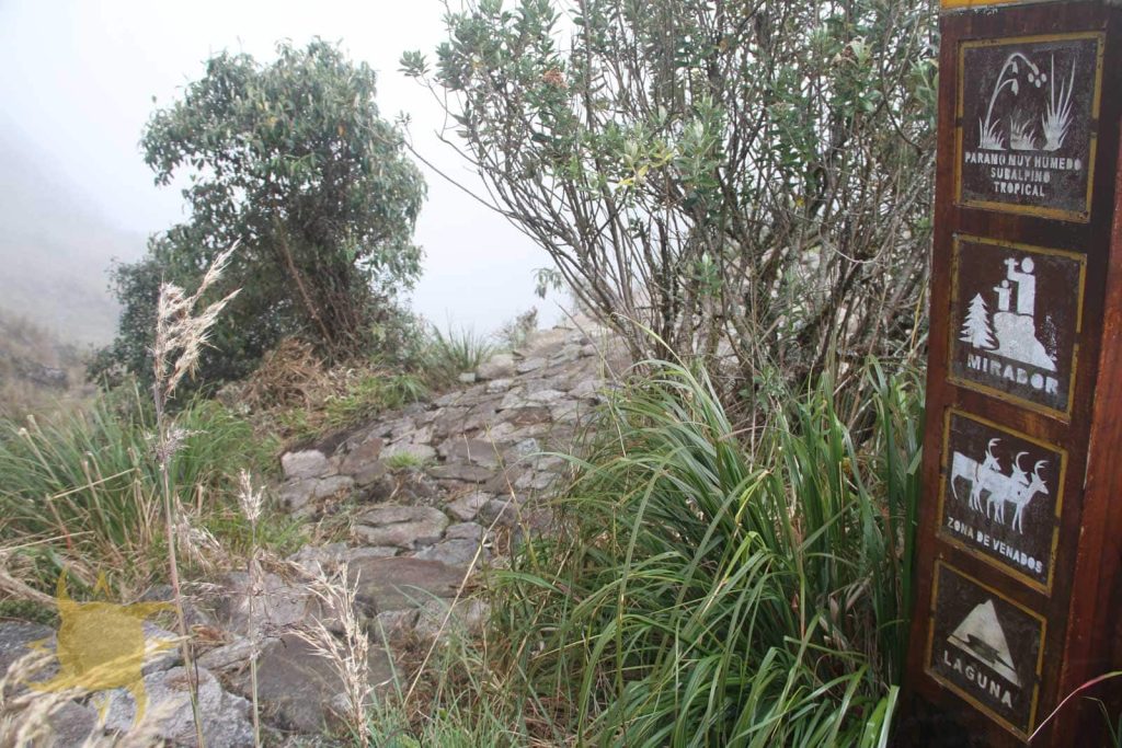 A trail signpost with pictograms for humid paramo, viewpoint, deer zone and lake beside Inca paving