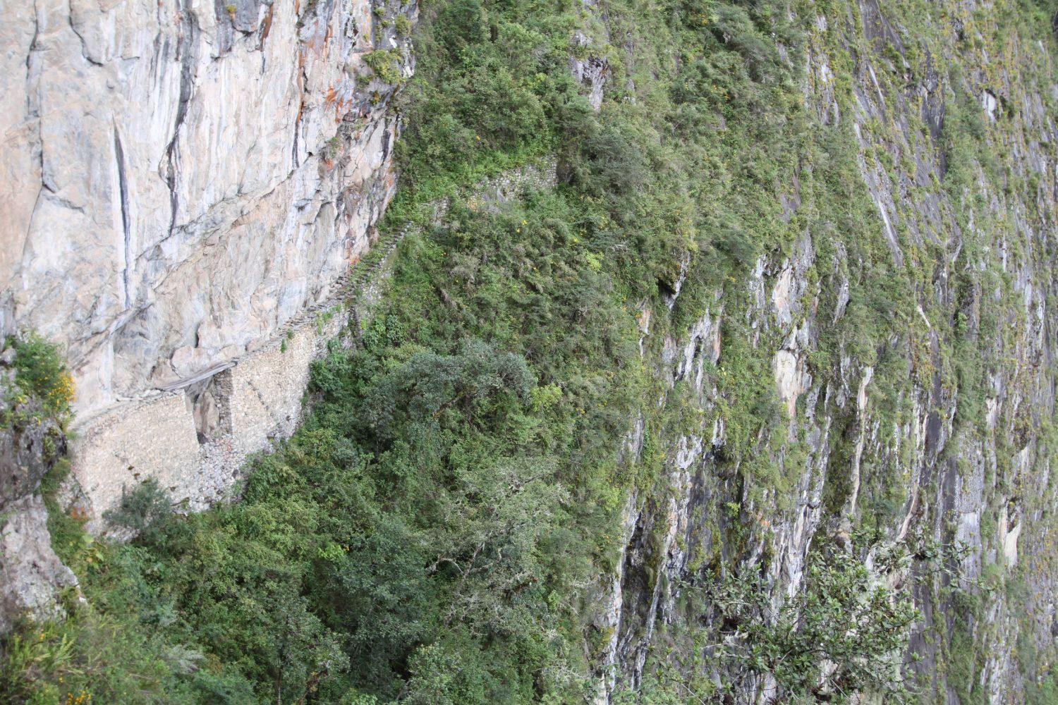 Machu Picchu’s Inca Bridge Route Reopens After Conservation Work