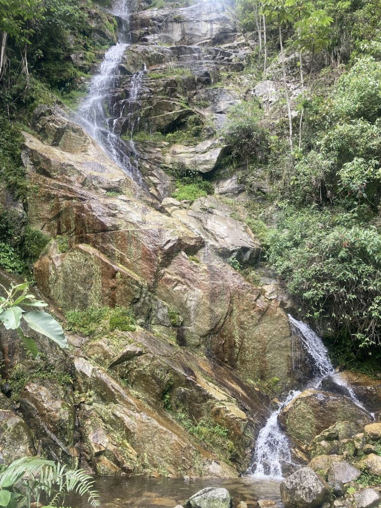 A waterfall over mossy rock in the cloud forest near Wiñay Wayna
