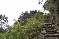 Machu Picchu Inca Trail August 24 2011