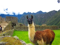 Machu Picchu Inca Trail Apr 13 2012-8