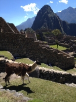 Machu Picchu Inca Trail Jun 17 2012