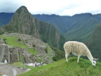Machu Picchu Inca Trail Mar 24 2012-3