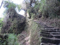 Machu Picchu Inca Trail Oct 18 2012-4