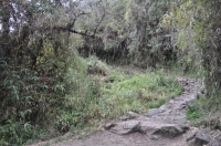 Machu Picchu Inca Trail December 10 2012