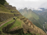 Machu Picchu Inca Trail Jan 03 2013-5