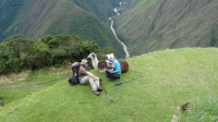 Machu Picchu Inca Trail Mar 13 2013-4