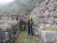 Machu Picchu Inca Trail Jan 10 2013-2