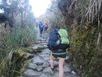 Machu Picchu Inca Trail Jun 01 2013-20