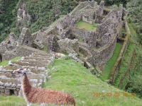 Machu Picchu Inca Trail Mar 01 2013-11