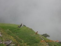 Machu Picchu Inca Trail Mar 01 2013-4