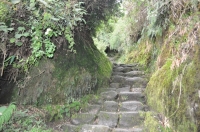 machu picchu trail