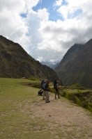 Machu Picchu Inca Trail November 10 2013-5