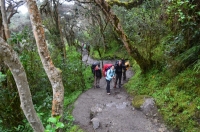 Kenji Inca Trail December 23 2013-2