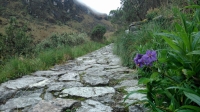 TIMOUR Inca Trail December 22 2013-1