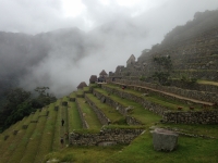 HONG Inca Trail January 23 2014-3