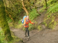 Yili Inca Trail May 20 2014-1