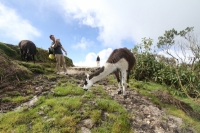 Wei Inca Trail March 27 2014-8