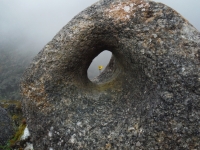 I got a little artsy with this one. A yellow flower coming through a carved hole in the rock. These holes were used to secure Llama skins acting as doors on some of the windy ruins.