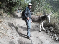 Frank Inca Trail July 14 2014