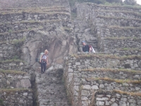 Thomas Inca Trail August 05 2014-4