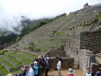 fraser Inca Trail March 20 2014-1