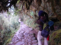 Taylor Inca Trail July 17 2014-2