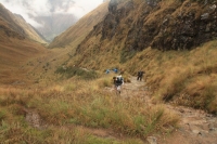 William Inca Trail March 27 2014-3