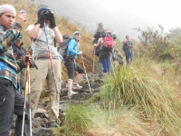 Levi Inca Trail July 17 2014-2