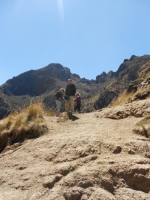 Armin Inca Trail August 20 2014-2