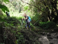 Shelby Inca Trail September 16 2014-1