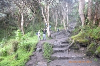 Lina Inca Trail December 30 2014-1