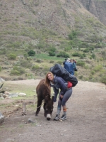 ashleigh Inca Trail November 13 2014-3