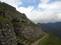 Ferdinand Inca Trail November 16 2014-2