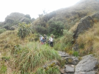 Knight Inca Trail December 24 2014-2
