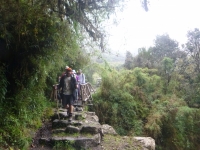 Knight Inca Trail December 24 2014-5
