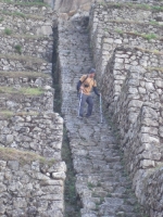 Daniel Inca Trail September 07 2014-6