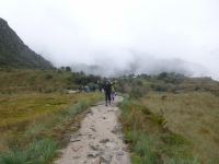 Amelia Inca Trail December 01 2014-4
