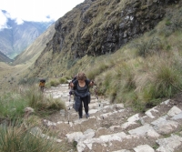 Sharifeh Inca Trail March 09 2015-4